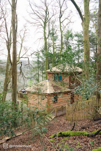 The Treehouse
