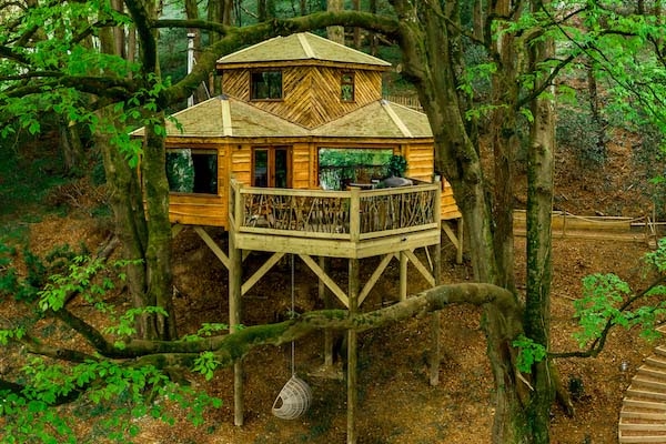 The Treehouse