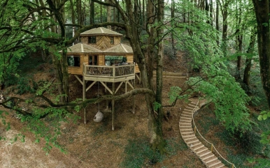 The Treehouse