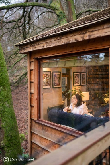 The Treehouse
